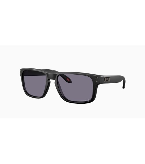Oakley Holbrook S lunettes de soleil sportives