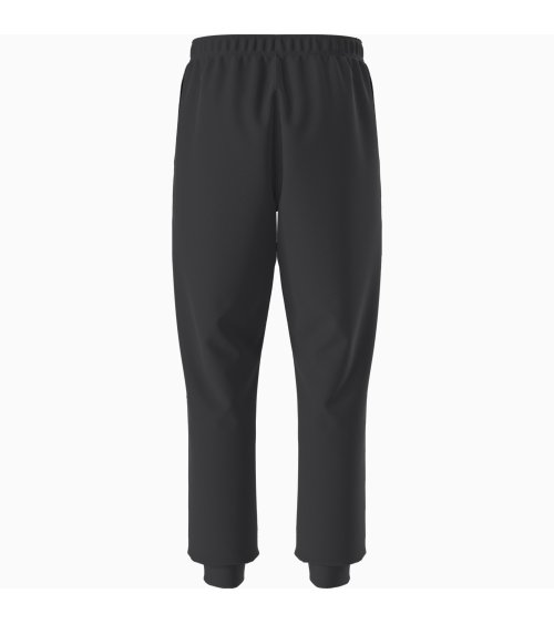 The North Face Evo SD jogger pants
