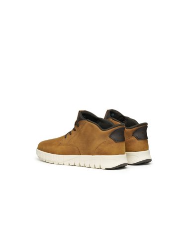 Botines Geox con cordones