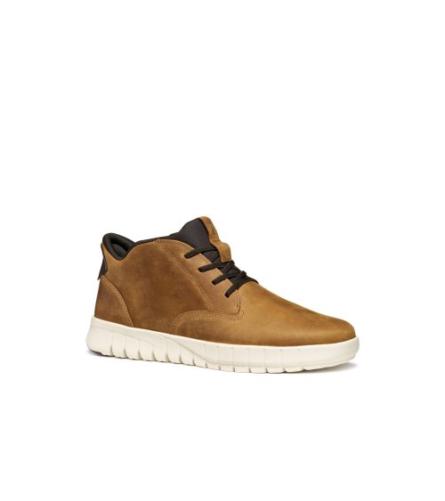Botines Geox con cordones