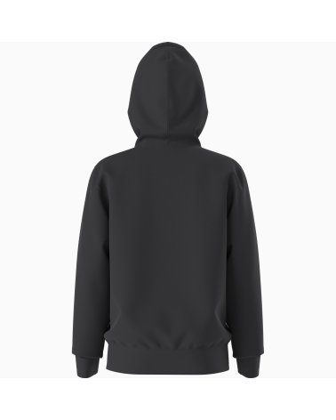 Felpa con cappuccio The North Face