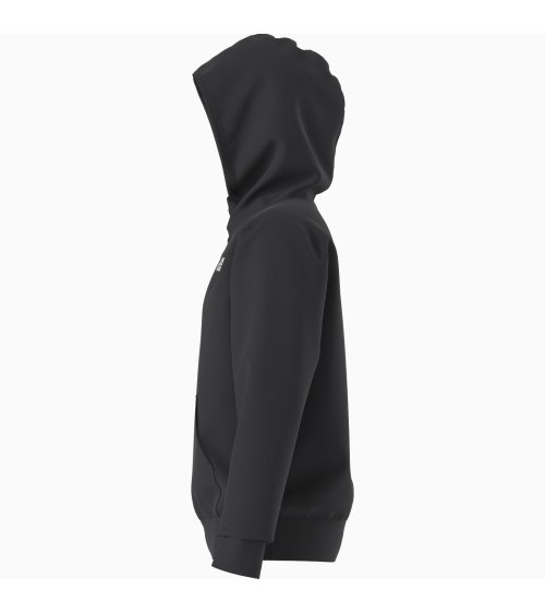 Felpa con cappuccio The North Face
