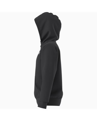 Felpa con cappuccio The North Face