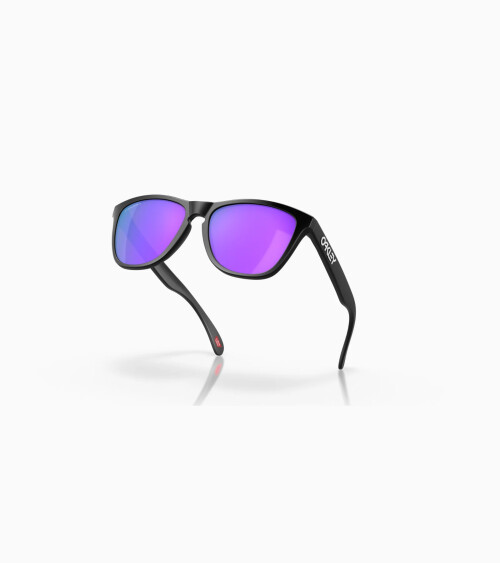 Gafas de sol deportivas Oakley Frogskins