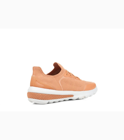 Geox Sneaker niedrige Schnürung
