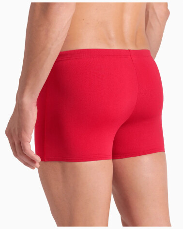 Arena Short de Bain