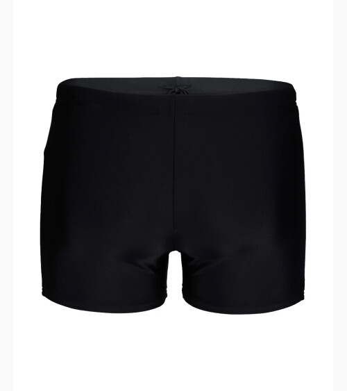 Arena Boxer Piscina Icons Solid