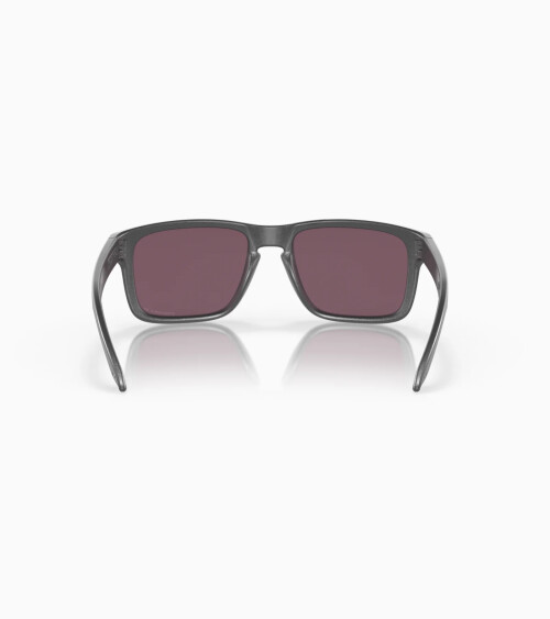 Oakley Holbrook Sportsonnenbrille