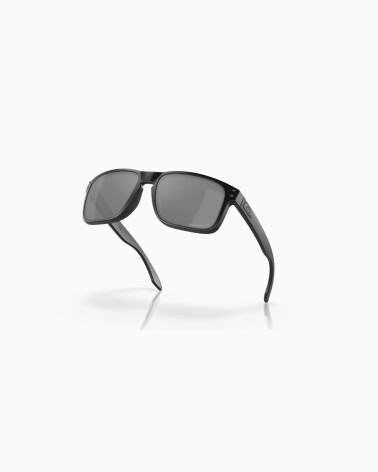 Oakley Holbrook Sportsonnenbrille