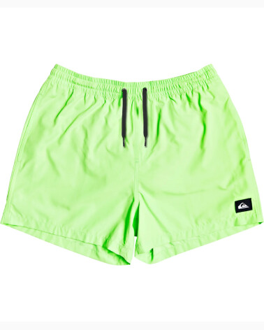 Quiksilver Men's Swim Brief