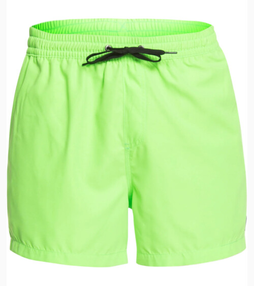 Quiksilver Men's Swim Brief