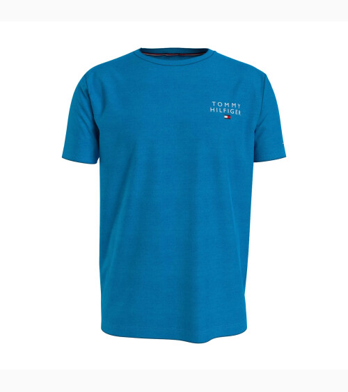 Tommy Hilfiger Short Sleeve T-shirt