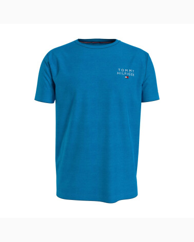 Tommy Hilfiger Short Sleeve T-shirt