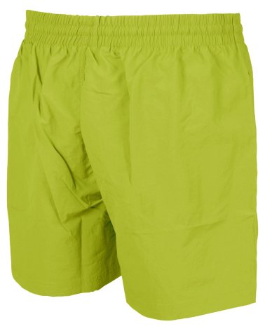 Arena Tumby men's swim shorts