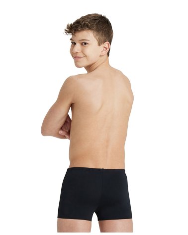 Arena Swimming Trunk B Solid